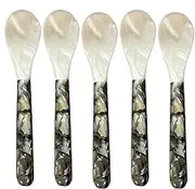 Mother of Pearl Spoon - 5 Pieces Caviar Spoons | Pearl Spoon | Egg Spoon | Decorative Caviar Server Spoons | Pearl Spoon Shell | Pearl Caviar Spoons with Round Handles for Caviar Egg Ice Cream