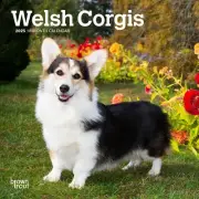 BrownTrout, Welsh Corgi 2025 Mini Wall Calendar