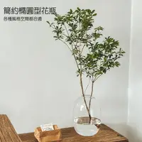 在飛比找樂天市場購物網優惠-花瓶 花器 微景觀生態瓶大肚玻璃花瓶