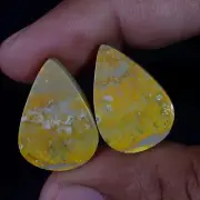 Natural BumbleBee Jasper Matched Pair 24.00 Cts. Cabochon Gemstone For Pendant