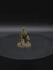Warhammer 40k Tau Pathfinder Painted