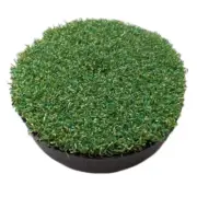 Putting Cup Lid