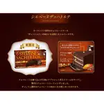 日本 北日本 BOURBON  SYLVEINE 可可蛋糕 三角蛋糕 巧克力蛋糕 132G X 25盒 箱出