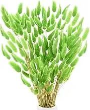 uxcell 180-Pack Bunny Tails Grass 17 Inch Fluffy Rabbit Tail Grass Dried Flowers Branches Vase Filler Dried Grass Decor for Home/Wedding/Vase/Office/Party [Green]