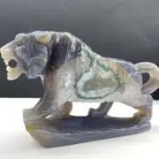 TOP 1PC Natural Agate Geode Quartz Carved Tiger Skull Crystal Reiki Gem