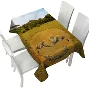 Animals Art Smiley Face Lions Tablecloth