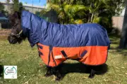 Mini Horse Rug Winter Combo FREE SHIPPING