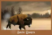 Buffalo South Dakota BisonMousepad Computer Mouse Pad 7 x 9