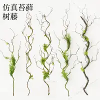 在飛比找蝦皮購物優惠-台灣裝飾🌿仿真苔蘚青苔枯樹枝假樹藤綠植墻植物彎曲造型背景墻造