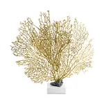 Michael Aram Fan Coral Nature Study Limited-Edition Sculpture