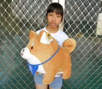 在飛比找Yahoo!奇摩拍賣優惠-婷芳小舖~超大柴犬娃娃 柴犬玩偶 韓國瑜 柴犬 長50公分~