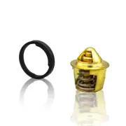 THERMOSTAT FOR HAMMERHEAD JOYNER SAND VIPER KANDI CARTER BROTHERS 250CC GO KARTS
