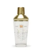 NEW Brouk & Co Skye Cocktail Recipe Shaker, 16 oz. Glass, Gold