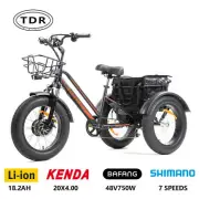 TDR 7 Speed Fat Big Wheel Electirc Tricycle Etrike 48v 750w Bafang Motor 18ah