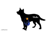 Australian Cattle - Custom Name Dog Leash Holder - Wall Hook