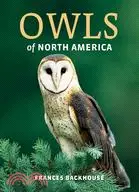 在飛比找三民網路書店優惠-Owls of North America