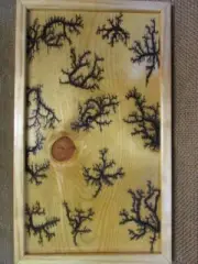 High Voltage Wood Art, Electrocuted Burned Wall Hangings, Fractal Decor 10756