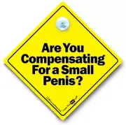 Are You Compensating For A Small Penis? Car Sign, Suction Cup Car Sign