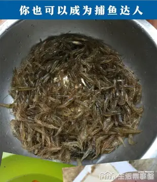 捕魚工具抓魚籠摺疊漁網捕魚網龍蝦網捕蝦籠撲魚手拋網小魚網圓形【林之舍】