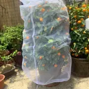 Net Plant Bag Vegetable Crop Fly Fruit Garden Indoor Insect Net Outdoor