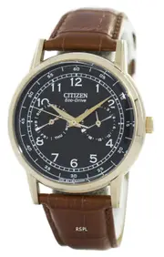 Citizen Eco-Drive Black Dial Rose Gold Tone Hands Leather AO9003-08E Mens Watch