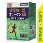 【DAIO大王生醫】勁舒康 UC-II軟膠囊60粒 / 葡萄糖胺 / 鯊魚軟骨素 / D3 / 日本原裝進口 / 買三送一 / 華儀生研 ✦美康藥局✦