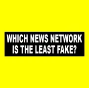 Funny "WHICH NEWS NETWORK IS THE LEAST FAKE?" Fox News CNN decal BUMPER STICKER