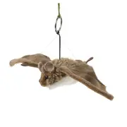 Living Nature Bat Small 24cm Stuffed Animals Plush Children/Baby/Infant 0m+ Toys