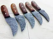 CUSTOM HAND MADE DAMASCUS STEEL FIXED BLADE SKINER KNIFE 990(lot of 5).