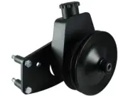 For Ford E350 Econoline Power Steering Pump Kit Borgeson 31443SGMY (for: Ford)