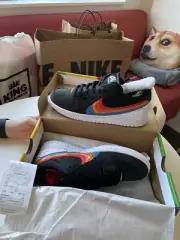 Nike SB Dunk Low Pro QS Polaroid [Limited Edition] Size US 8.5 Mens
