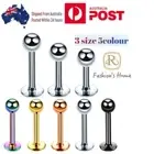 Surgical Steel Labrets Lip Rings Tragus 16G Earring Stud Piercing Jewelers 2PCS