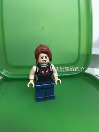 在飛比找Yahoo!奇摩拍賣優惠-極致優品 樂高 LEGO 人仔 76016 sh103 蜘蛛