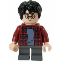 在飛比找蝦皮商城優惠-LEGO人偶 HP143 哈利波特系列 Harry Pott