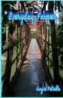 EVERYDAY, FOREVER: WHEN THE HEART IS BROKEN By Angie Petrella **BRAND NEW**