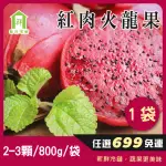 【每日宅鮮】任選$699免運 紅肉火龍果 大果(2-3顆／1KG／袋±5% X1袋 台灣六龜 紅龍果)