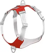 Pet Rope Padded Pet Dog Harness No Pull Dog Reflective Chest Strap Belt Vest Adjustable Outdoor Training Protective Harness Pet Traction Rope (Color : Red, Size : XL)