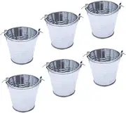 JUMPLAWN 6pcs Mini Bucket for Creative Iron Buckets Flower Pots for Gardening Home Decor and Candy Storage Bright