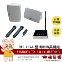 在飛比找樂天市場購物網優惠-BELUGA 白鯨牌 U650B 無線壁掛音響喇叭 美聲組 