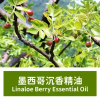 在飛比找蝦皮購物優惠-【馥靖精油】墨西哥沉香精油 Linaloe Berry Es