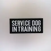 Service Dog In Training Patch (Hook & Loop) — Badge Embroidered — Support Animal