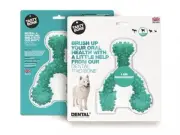 Tasty Bone Nylon Dental Trio Peppermint Large
