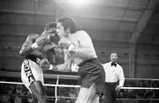 Cornelius Boza Edwards With A Left Jab v Bobby Chacon 1983 Old Boxing Photo