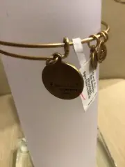 Alex And Ani “Sigma Delta Tau” Charm Bangle