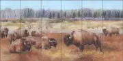 Buffalo Tile Backsplash Ceramic Mural Hughbanks Bison Animal Art DHA067