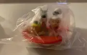 Vtg Kool Aid Kids Points Toy The Jetsons Movie Applause Cartoon Network Rare New