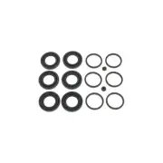 Carlson 41290 Caliper Rer Kit for PAI
