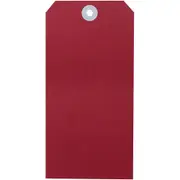 Avery 18110 Shipping Tag Size 8 160x80mm Red Box 1000