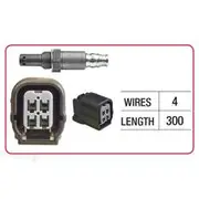 RAE Oxygen Sensor - OX846