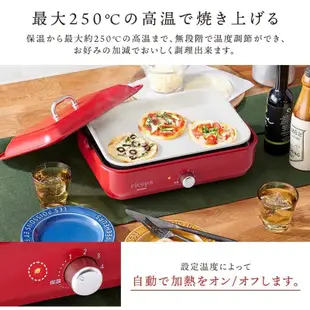 日本空運 IRIS OHYAMA ricopa MHP-R102-H  24孔章魚燒機 鐵板燒 大阪燒 鬆餅 1機2烤盤